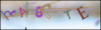 Registration Image