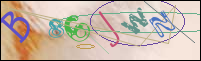 Registration Image