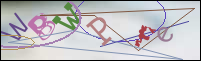 Registration Image