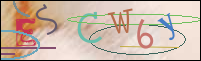 Registration Image