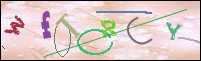 Registration Image
