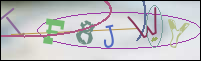 Registration Image