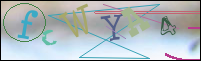 Registration Image