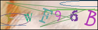 Registration Image