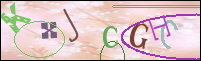 Registration Image