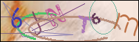 Registration Image