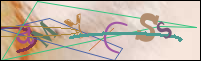 Registration Image