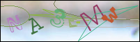 Registration Image