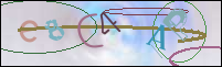 Registration Image