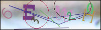 Registration Image