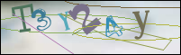 Registration Image