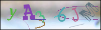 Registration Image