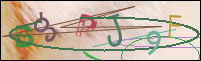 Registration Image