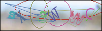 Registration Image