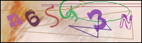 Registration Image