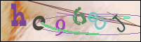 Registration Image