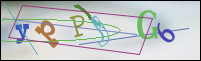 Registration Image