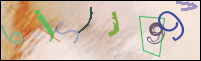 Registration Image