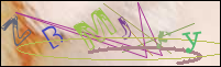 Registration Image