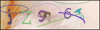 Registration Image
