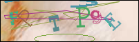 Registration Image