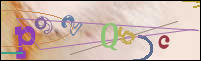 Registration Image