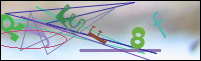 Registration Image