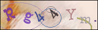 Registration Image