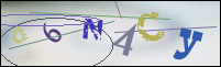 Registration Image