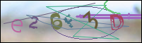 Registration Image