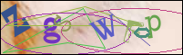 Registration Image