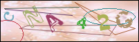 Registration Image