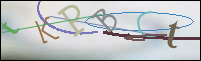Registration Image