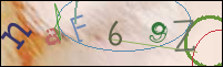 Registration Image