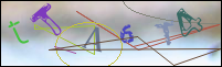 Registration Image