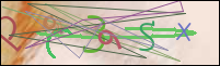 Registration Image