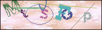 Registration Image