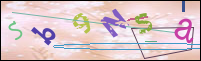 Registration Image
