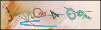 Registration Image