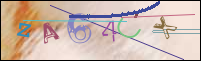 Registration Image