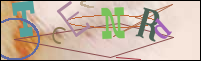 Registration Image