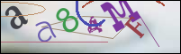 Registration Image