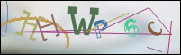 Registration Image