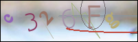 Registration Image