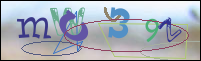 Registration Image