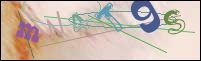 Registration Image
