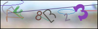Registration Image