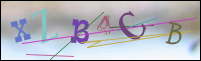 Registration Image