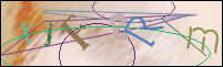 Registration Image