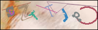 Registration Image